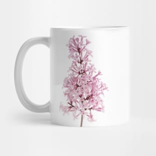 Lilac Mug